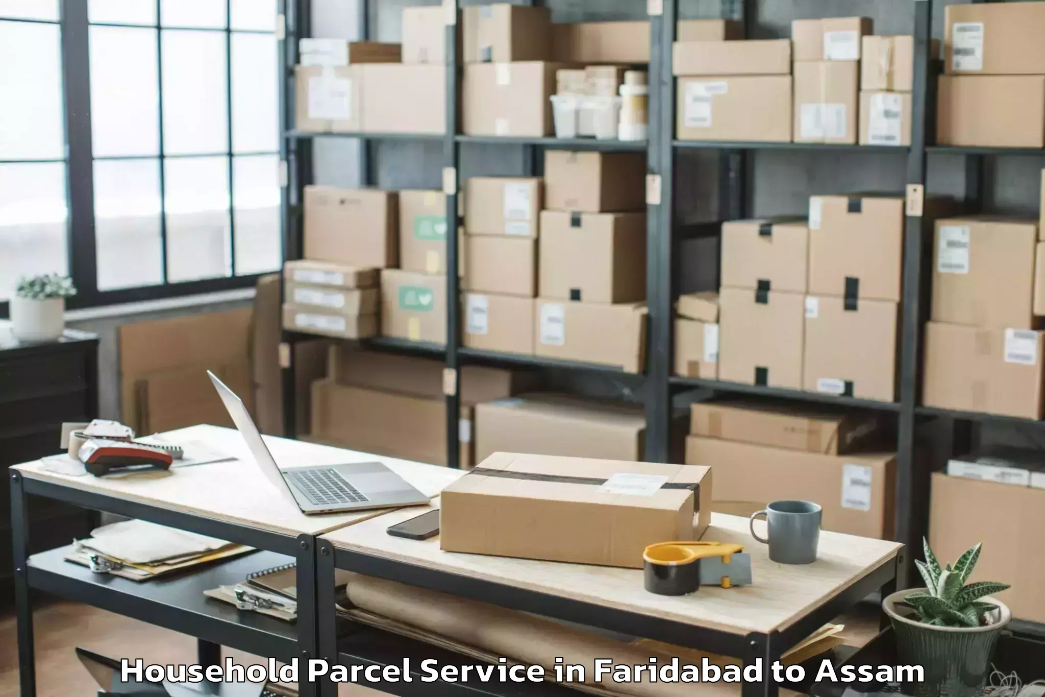 Easy Faridabad to North Lakhimpur Household Parcel Booking